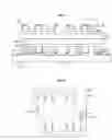 Fig. 05 - Light emitting device and method of manufacturing the same