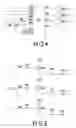 Fig. 05 - Serial light-emitting light structure