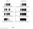 Fig. 05 - Electrostatically regulated atomic scale electroconductivity device