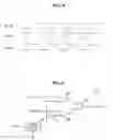 Fig. 10 - Duty cycle correcting circuit and duty cycle correcting method