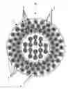 Fig. 01 - Method for opening hollow structures made from magnetic nanoparticles