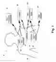 Fig. 02 - Addressing scheme for smart wireless medical sensor networks