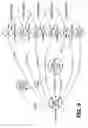 Fig. 11 - Wireless point to multipoint system