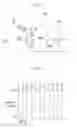 Fig. 07 - PLASMA DISPLAY AND DRIVING METHOD THEREOF