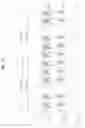Fig. 11 - METHOD OF DRIVING PLASMA DISPLAY APPARATUS