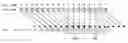 Fig. 01 - Depth perception
