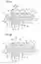 Fig. 09 - Capping device, and recovery device having the same