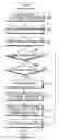 Fig. 01 - Apparatus for generating compressed image data and apparatus and method for displaying the compressed image data