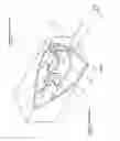 Fig. 03 - Optical interference apparatus