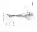 Fig. 12 - Optical interference apparatus