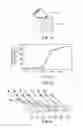 Fig. 09 - Inspection apparatus and inspection method for pattern profile, and exposure apparatus