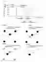 Fig. 53 - Information input/output device including a stage surface on which a reflecting medium including a printed dot pattern is disposed