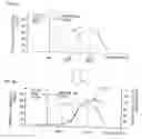 Fig. 55 - Information input/output device including a stage surface on which a reflecting medium including a printed dot pattern is disposed