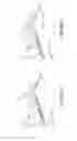 Fig. 09 - Image reading apparatus