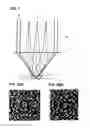 Fig. 08 - Optical informational recording/reproduction device and method