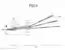 Fig. 10 - Projection optical system with enlargement at a varying magnification