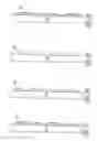 Fig. 07 - Microlens sheets having multiple interspersed anamorphic microlens arrays