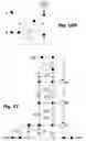 Fig. 08 - Circuit and method for short circuit protection