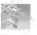 Fig. 01 - LIVEBREAK FUSE REMOVAL ASSEMBLY FOR DEADFRONT ELECTRICAL APPARATUS