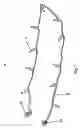 Fig. 06 - Luminous assembly having a fiber-formed shaped part