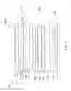 Fig. 02 - Tensioned optical element and display