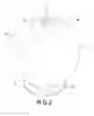 Fig. 03 - Decorative structure