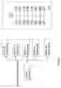 Fig. 02 - Media distribution system with wireless local area network module