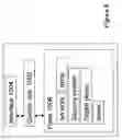 Fig. 09 - Media distribution system with wireless local area network module