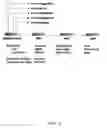 Fig. 07 - In-vehicle unit communication protocol