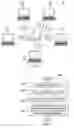 Fig. 04 - Reducing collisions in beamforming wireless systems