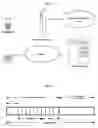 Fig. 02 - Heterogeneous MAC protocol for forwarding VoIP traffic on wireless networks