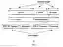 Fig. 04 - Method and system for aggregating multiple small packets in wireless communication