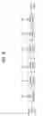 Fig. 09 - Digital broadcasting system and method of processing data
