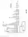Fig. 14 - Systems and methods for synchronizing wireless communication systems