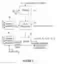 Fig. 06 - Apparatus and method for controlling a plurality of speakers by means of a graphical user interface