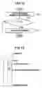 Fig. 09 - In-vehicle apparatus for recognizing running environment of vehicle