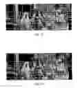 Fig. 10 - Video Motion Detection