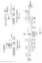 Fig. 13 - Video Motion Detection