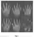 Fig. 06 - Multibiometric multispectral imager
