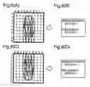 Fig. 08 - Authentication device