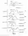 Fig. 03 - Authenticating and authentic article using spectral imaging and analysis