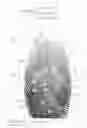 Fig. 07 - Methods and systems for automated fingerprint recognition