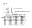 Fig. 05 - Interface for fast pattern projection