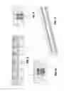 Fig. 05 - Linear guide rail for a linear guide system provided with a coolant slot