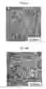 Fig. 10 - Rolling Bearing