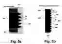 Fig. 06 - Interface device for performing mode transformation in optical waveguides