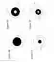 Fig. 04 - MULTIMODE LONG PERIOD FIBER BRAGG GRATING MACHINED BY ULTRAFAST DIRECT WRITING