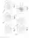 Fig. 02 - Process and Apparatus for Manufacturing an Optical Cable