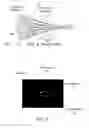 Fig. 03 - Optical fiber configuration for dissipating stray light