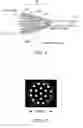 Fig. 06 - Optical fiber configuration for dissipating stray light